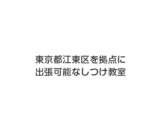 出張可能なしつけ教室